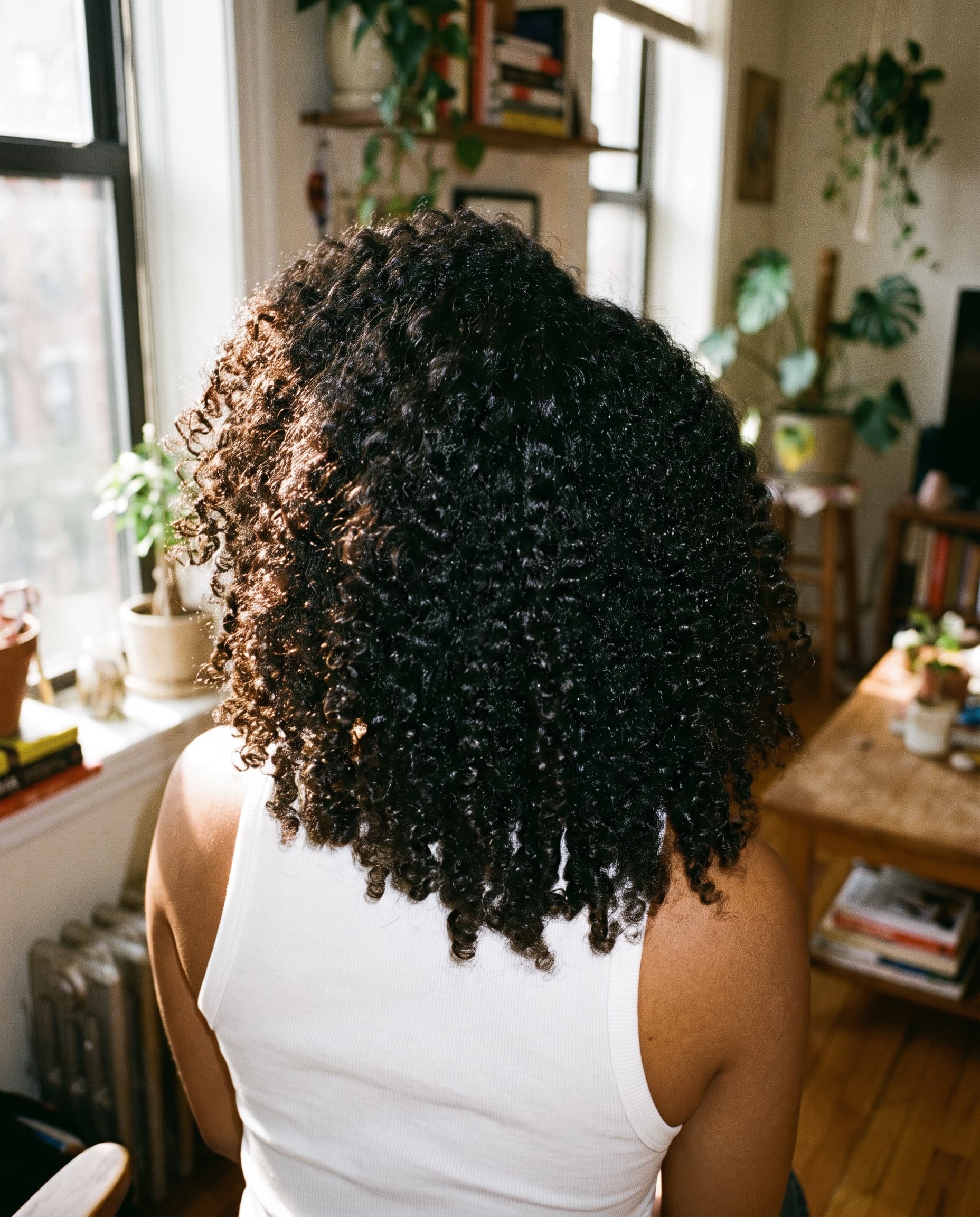 Glossy, defined coily hair seen from behind by a sunny window